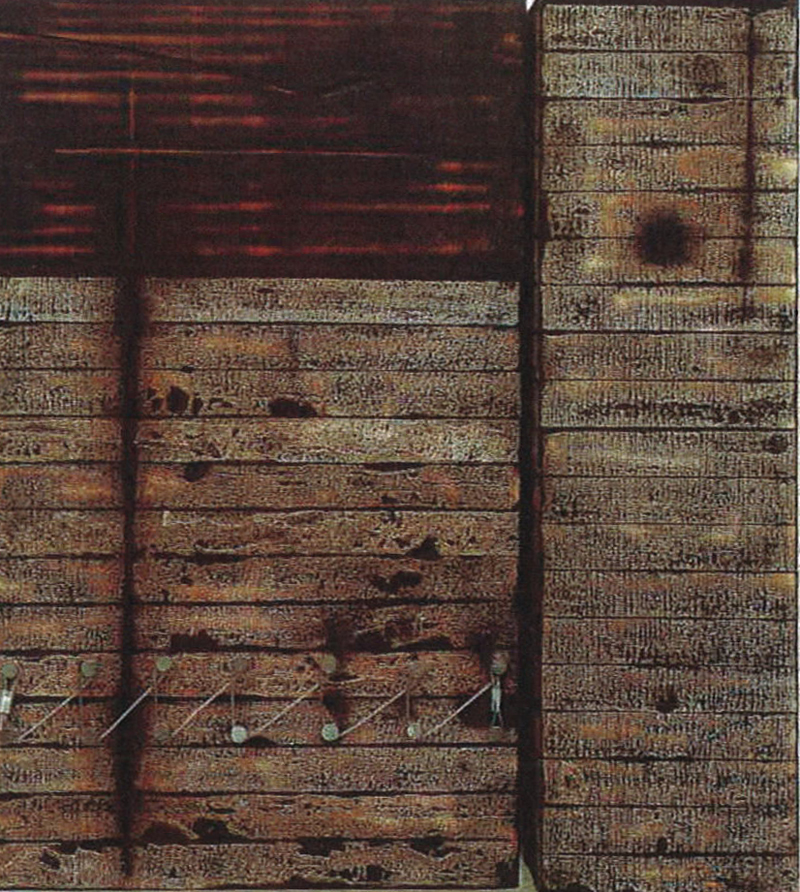 ozawa02