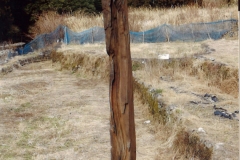 wada01